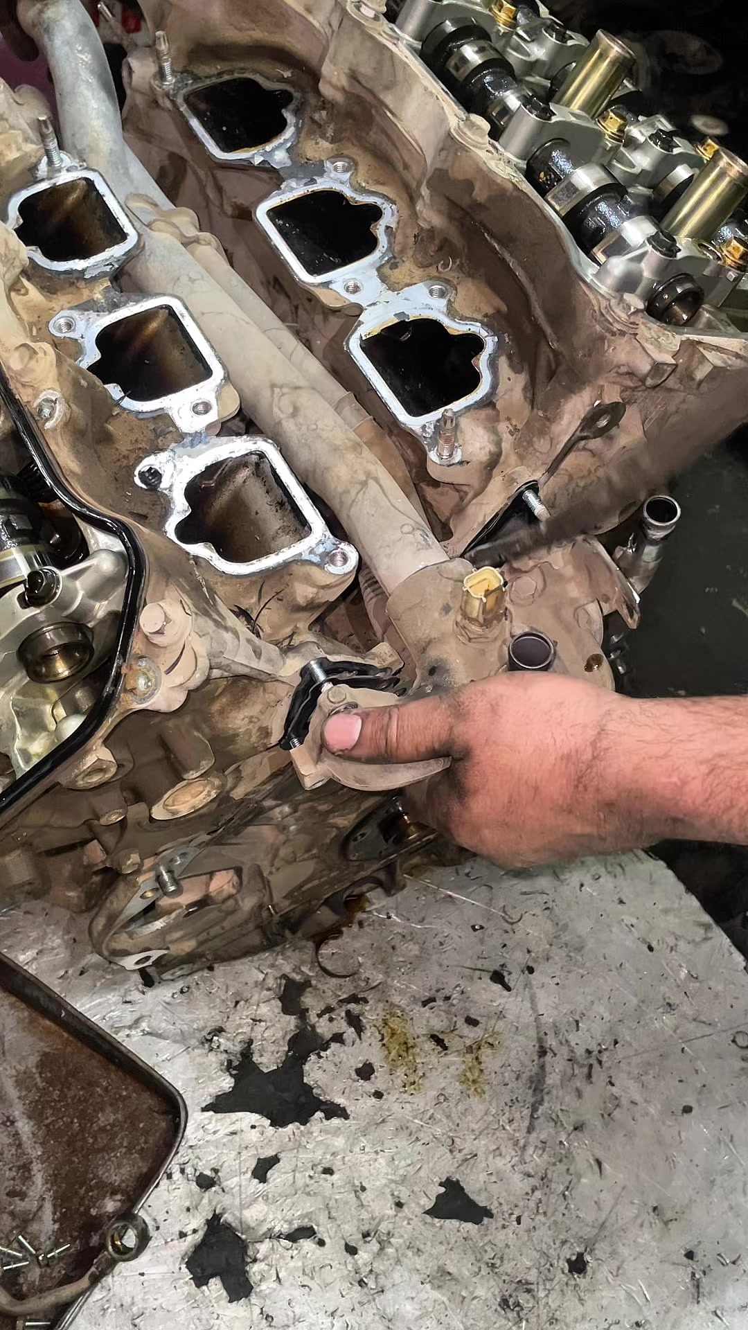 @MS Auto Mechanic