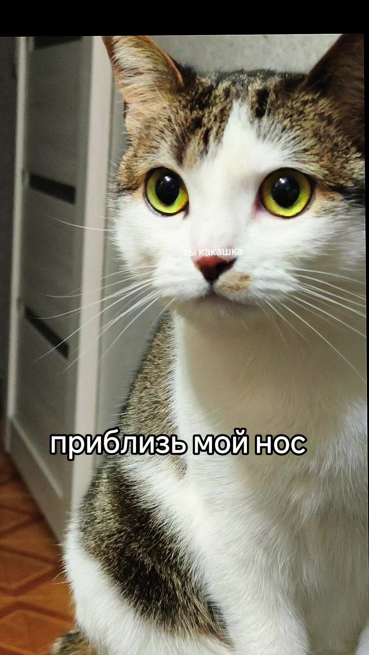 @Olechka