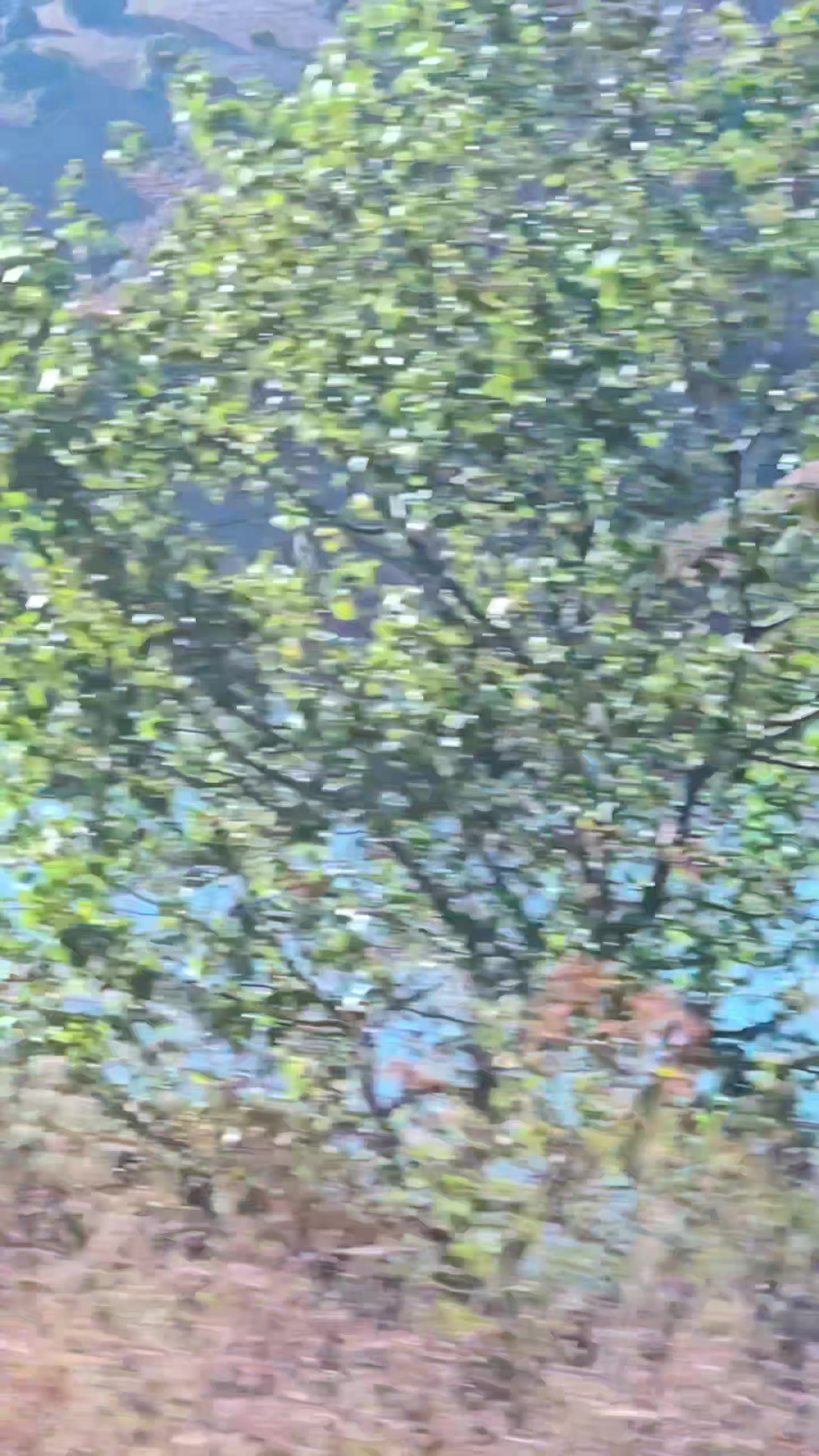 @ajansr