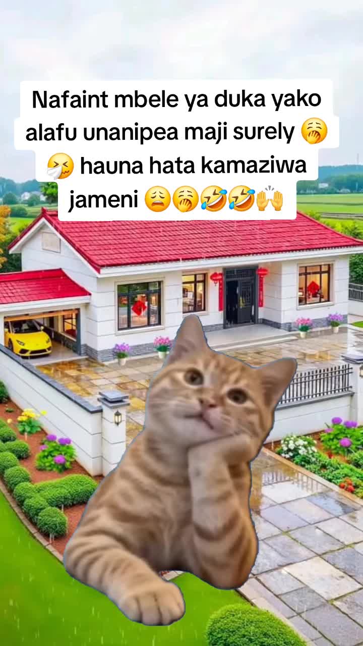 @Miss Vibez ๐ค๐๐