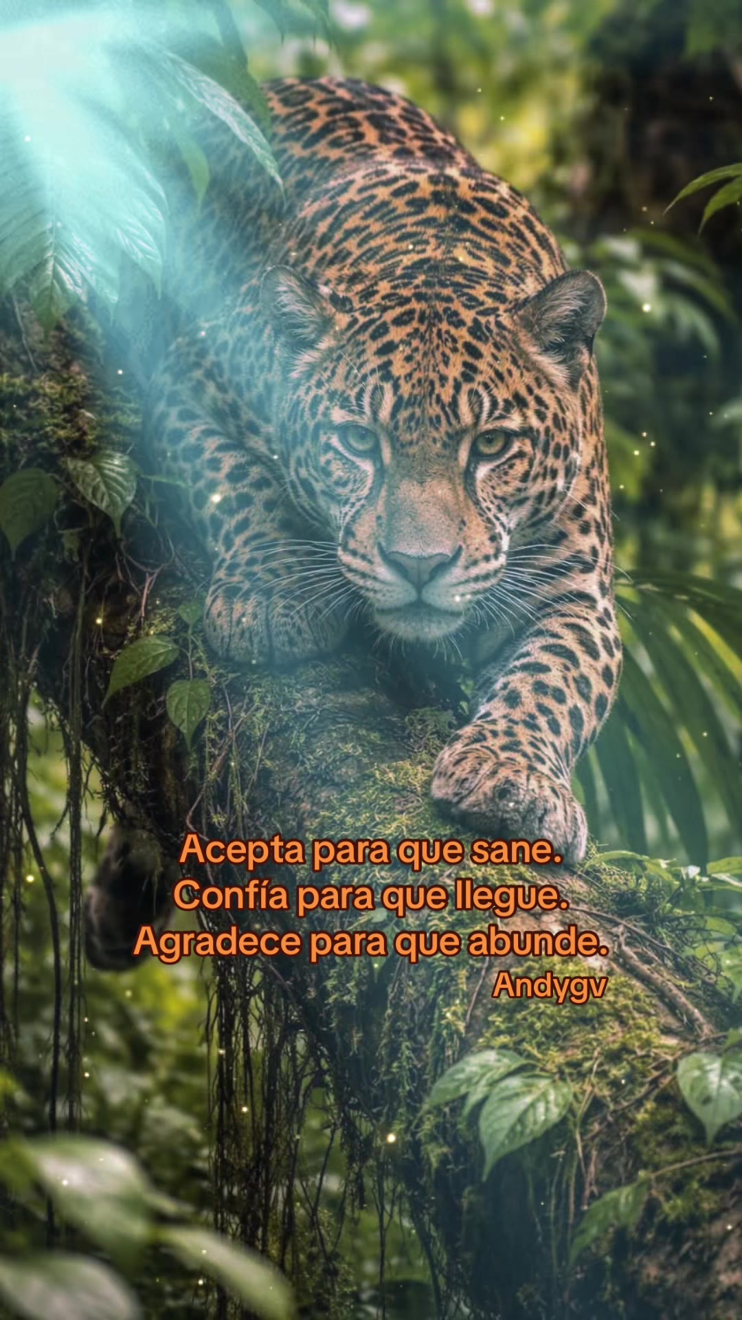 @Andy_saranj&eacute;