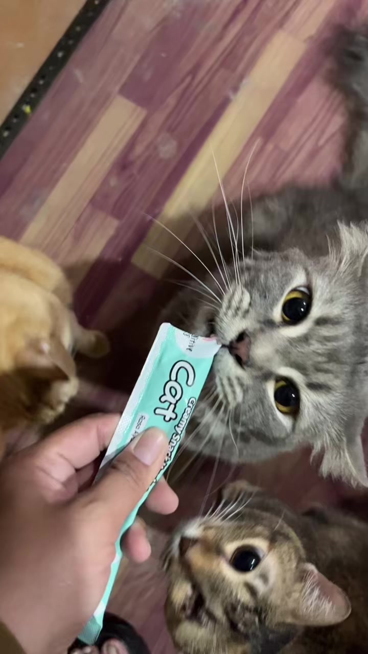 @Aini_Riani💫🌼