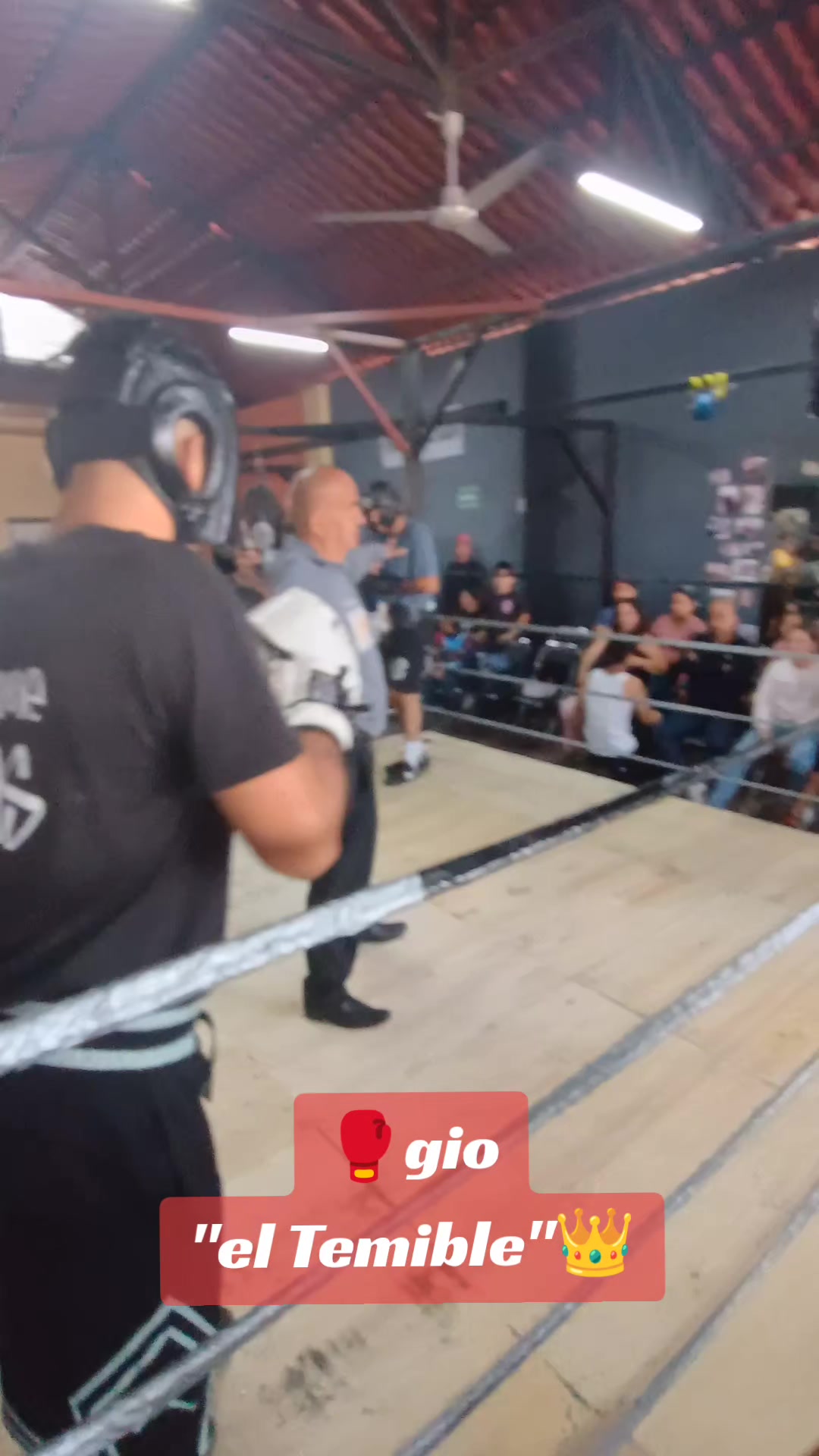 @netos boxing
