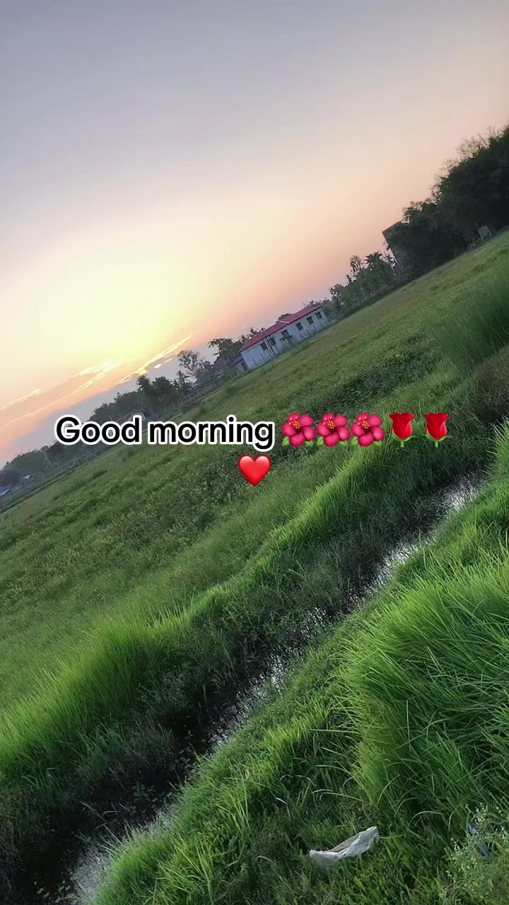 @Rita ❤️❤️❤️🍀🇳🇵🇳🇵