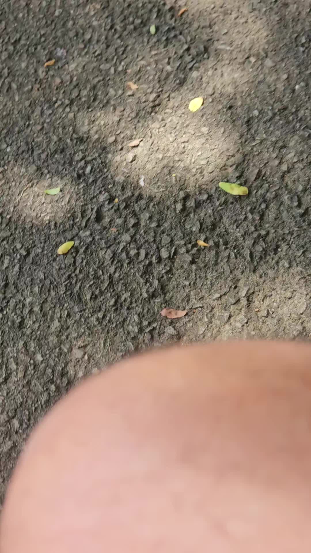 @cschultz2