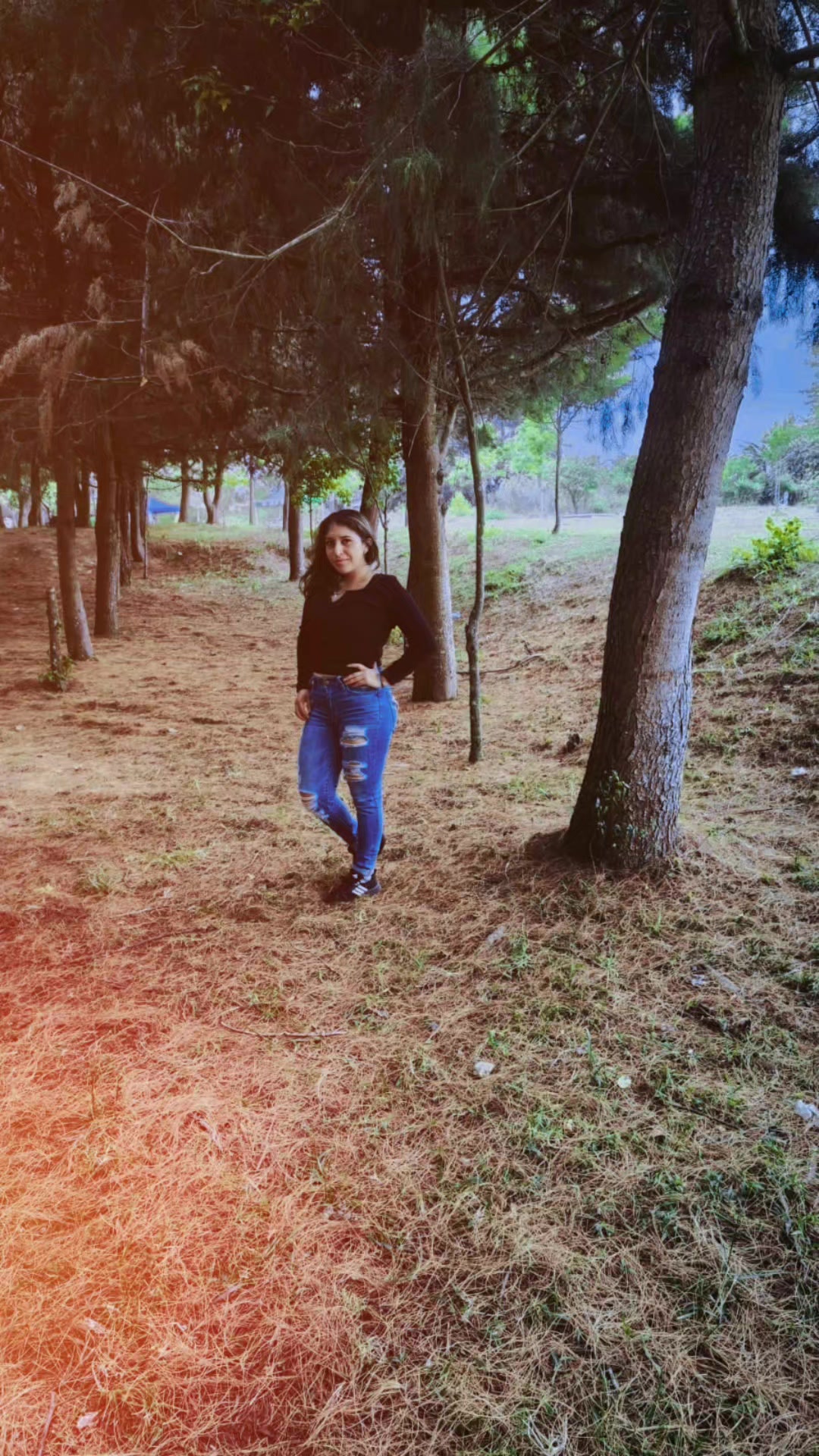 @anita nícol