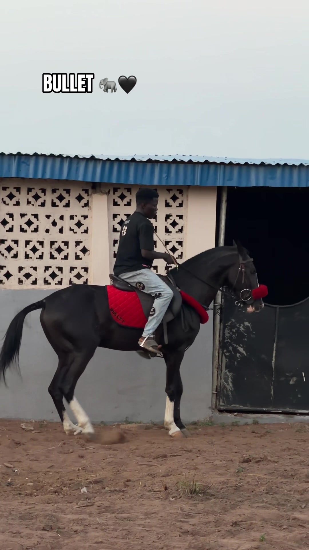 @GIWA🐴EQUESTRIAN🐎♥️WORLDWIDE