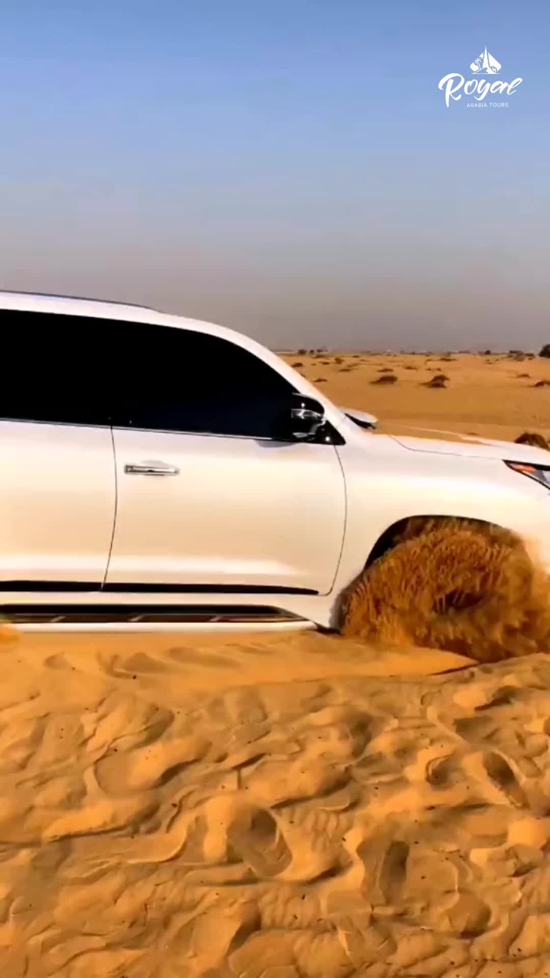 @Arabia Tours 2