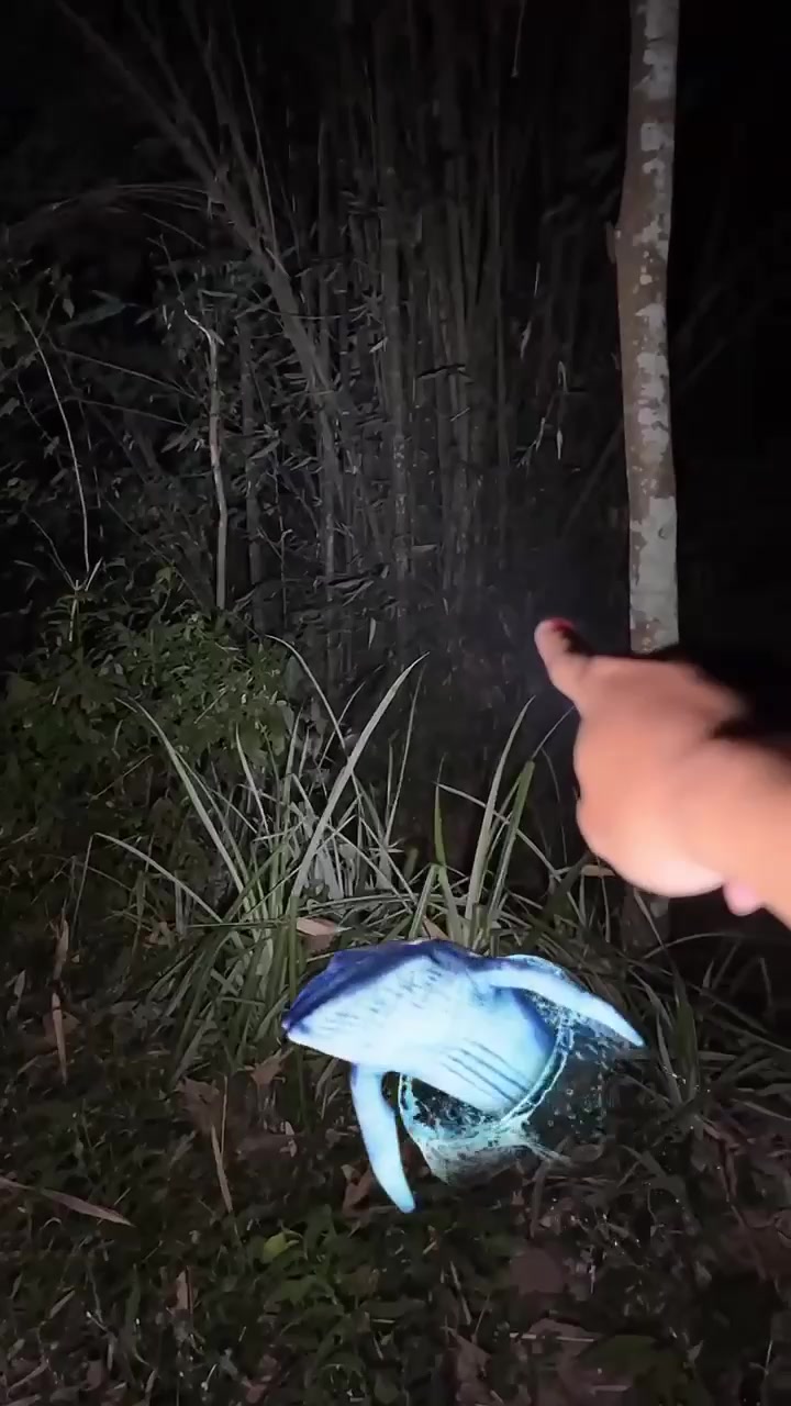 @𝐌𝐎𝐃ᴷᶜᴸᴷ