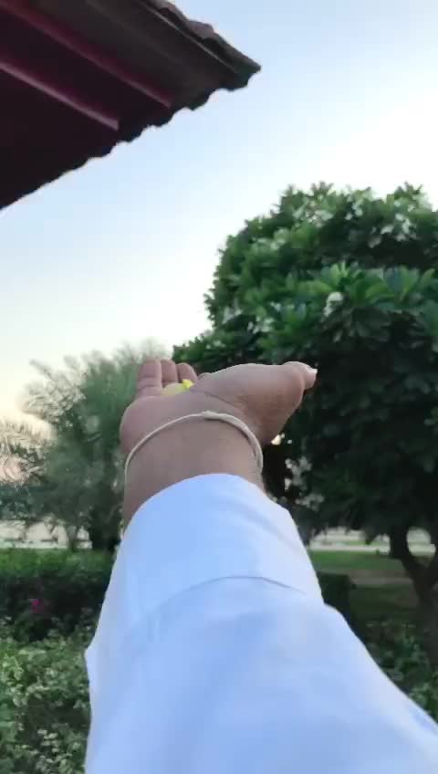 @Salam Saalees