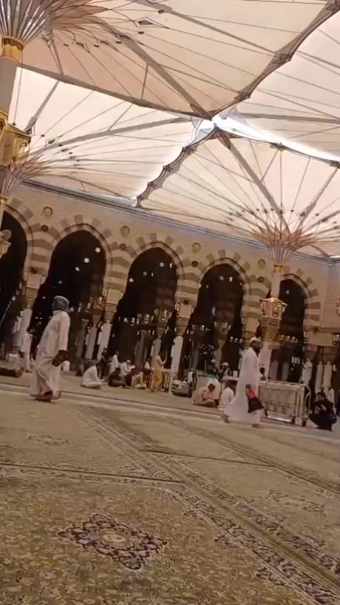 @raani6B