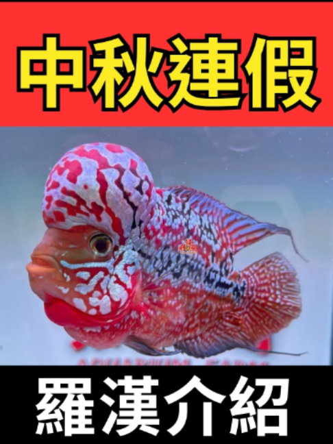@招財魚水族館