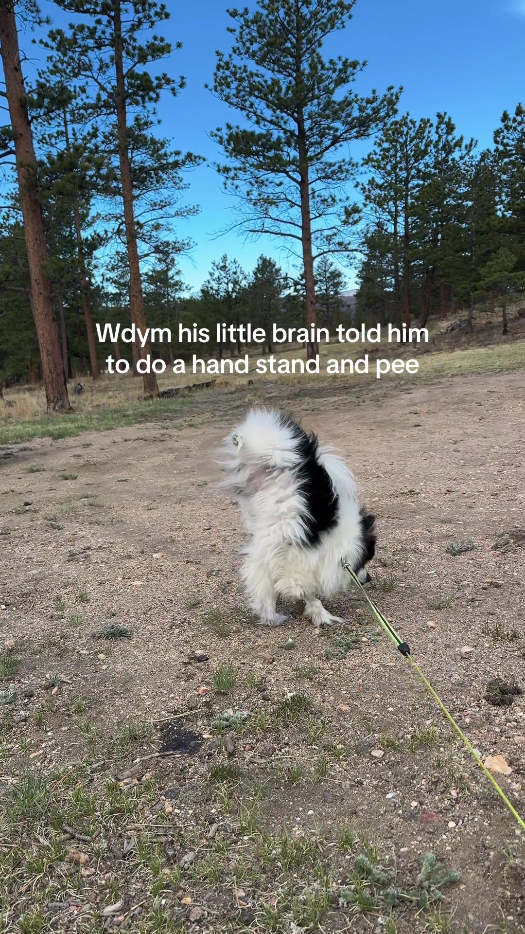 @madisonxtyler