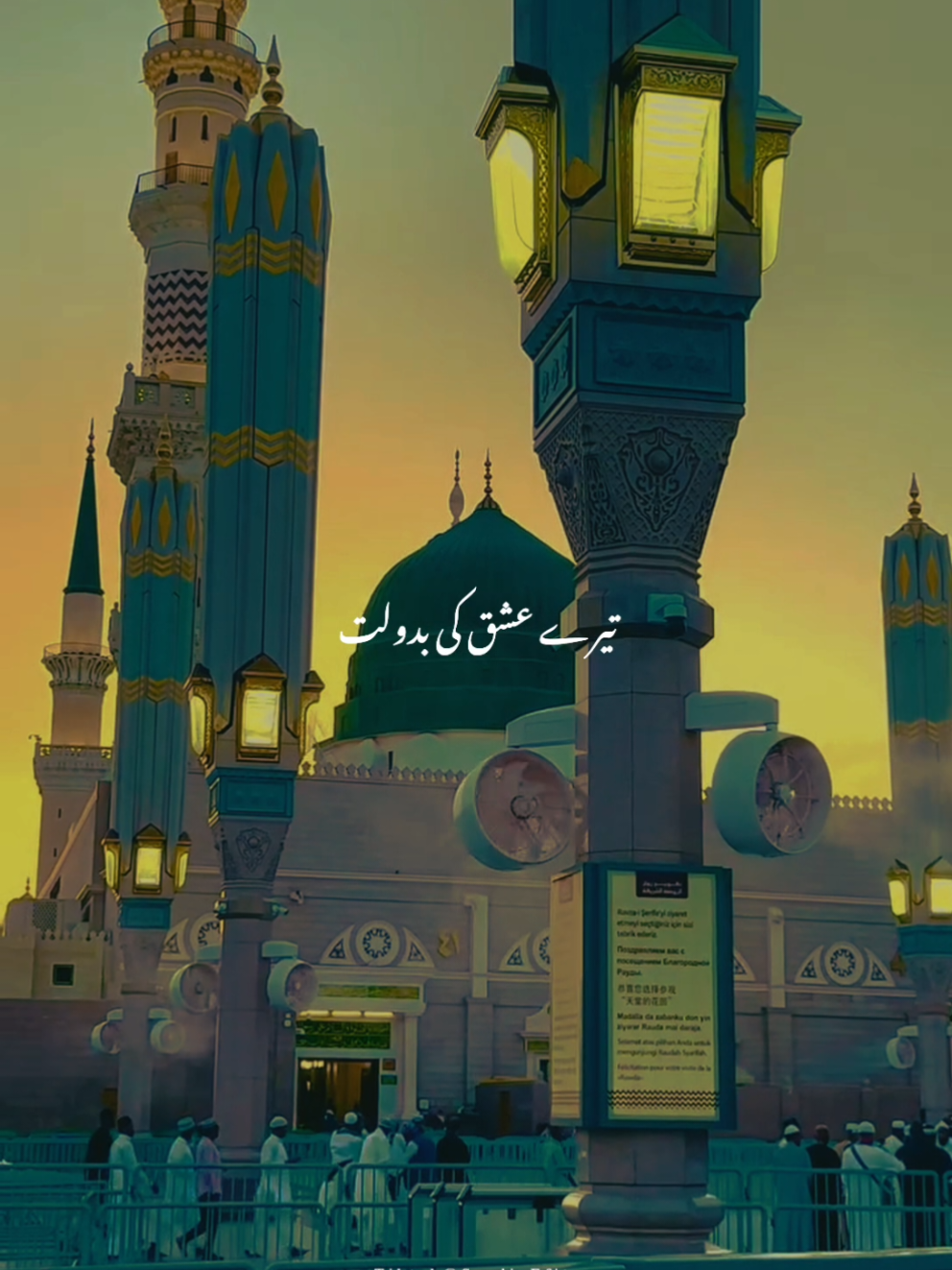 @✨ 𝐒𝐀𝐀𝐃𝐈 〆 𝐄𝐃𝐈𝐓𝐒 ✨