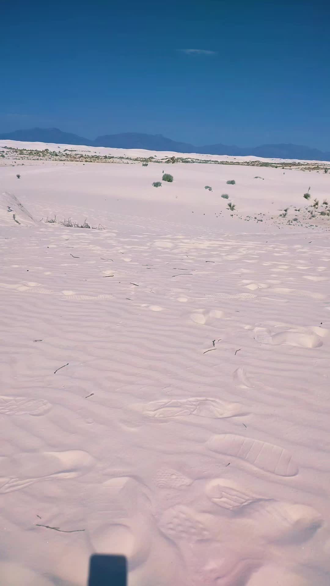 @Thehamster3