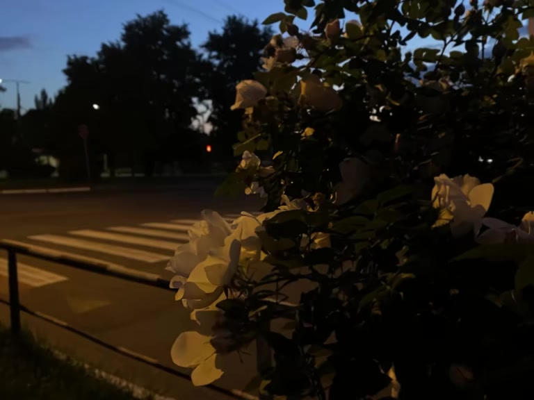 @для липсингов