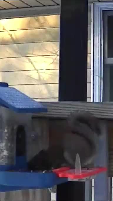 @Любопытно