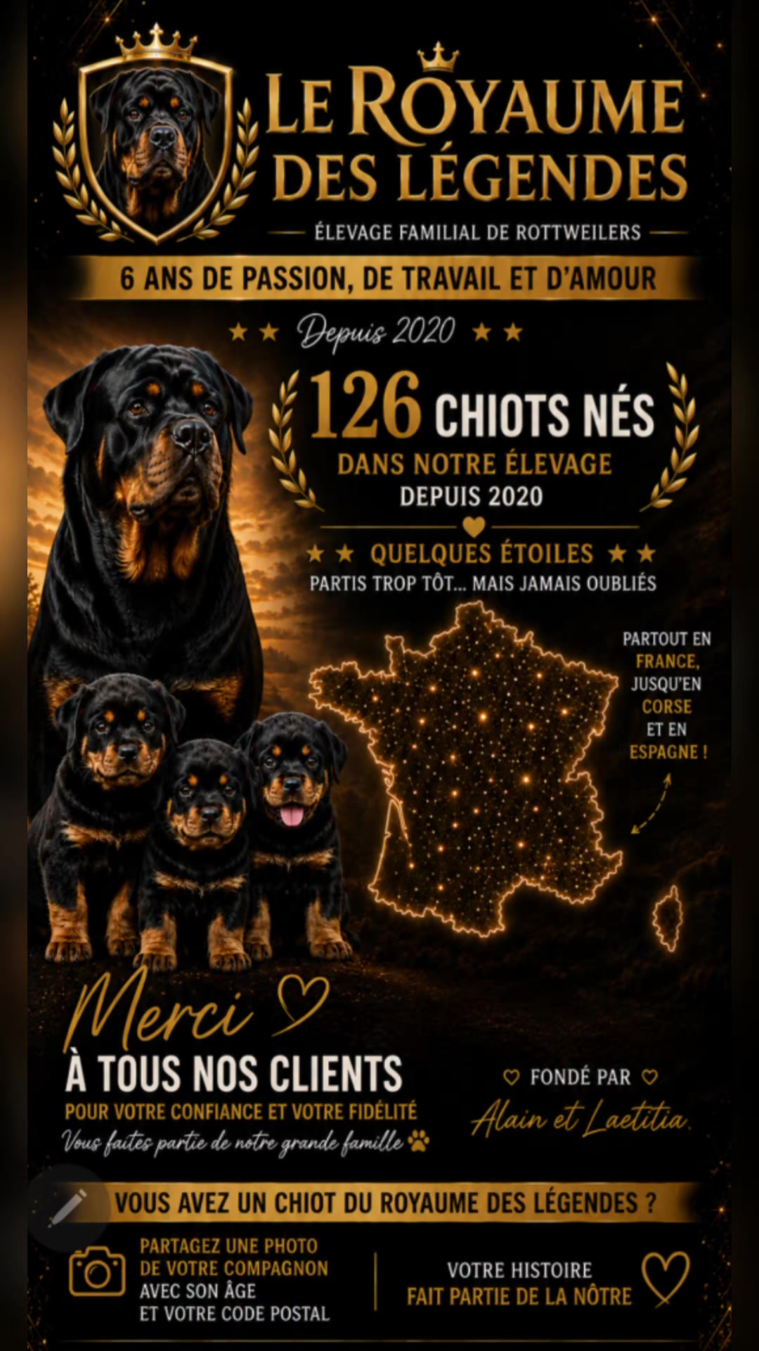 @Laetitia FACHETTi Rottweiler