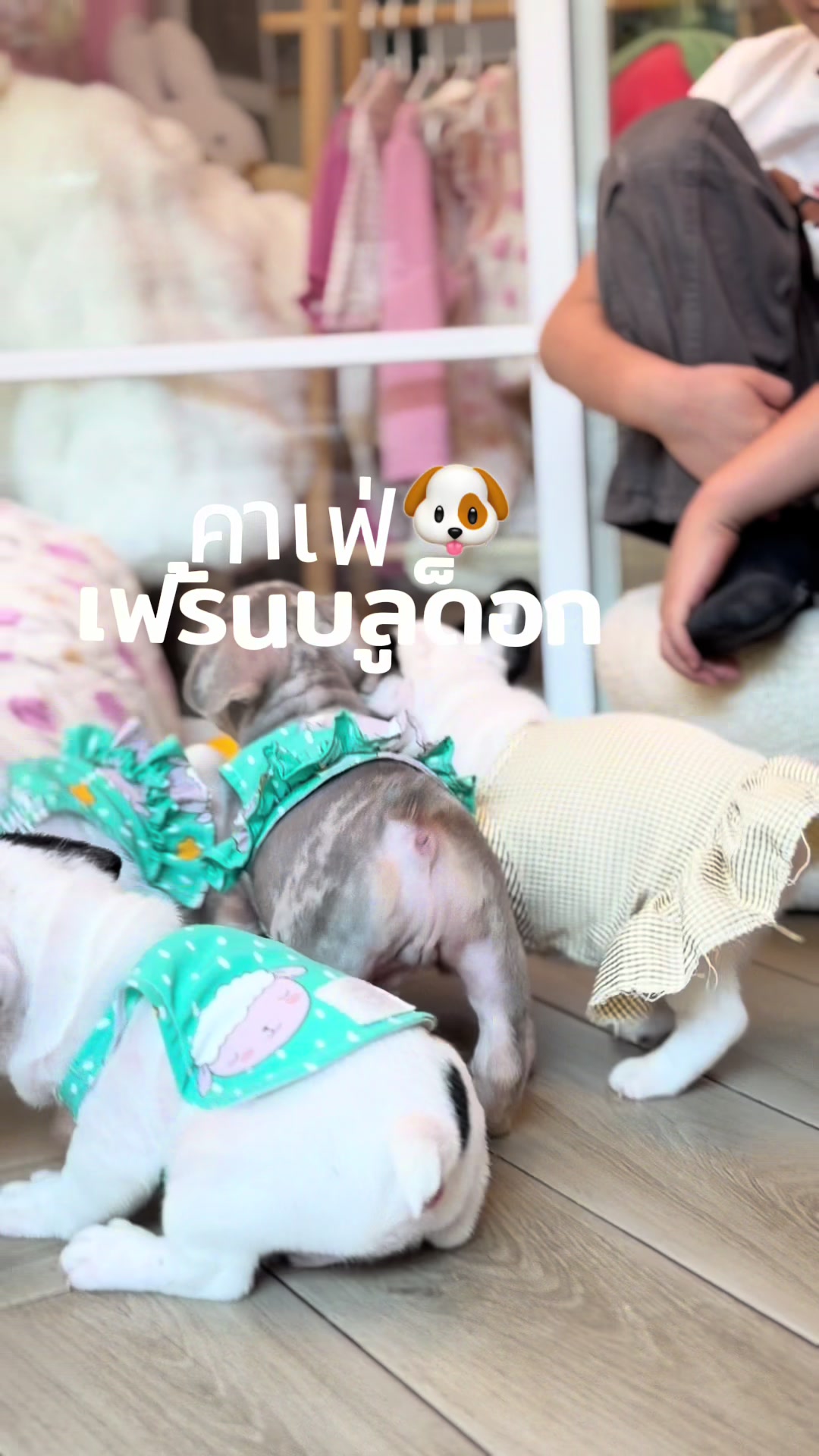 @Privatedog cafe Bangkok