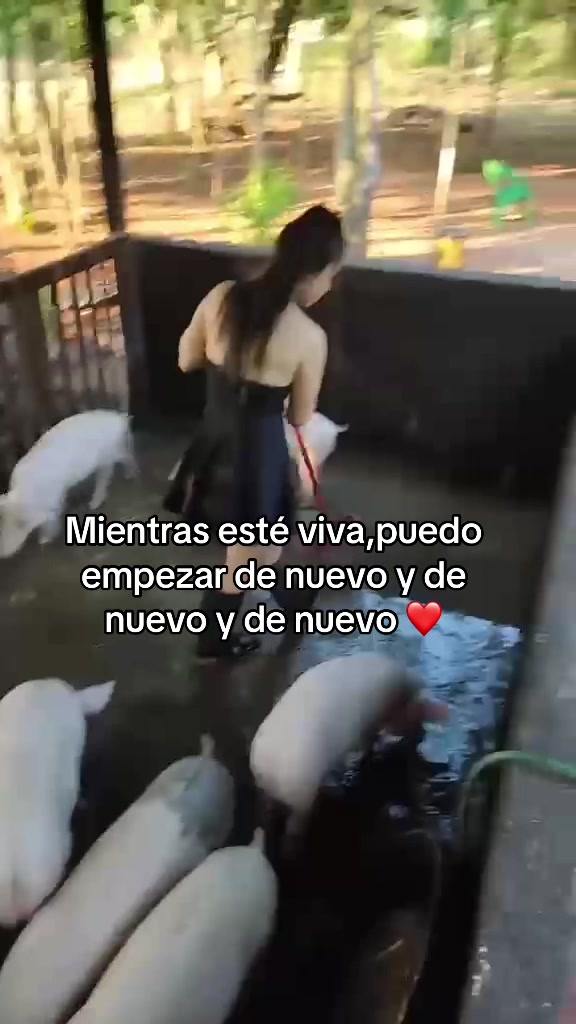 @Ruth Noemi Gaona Vil