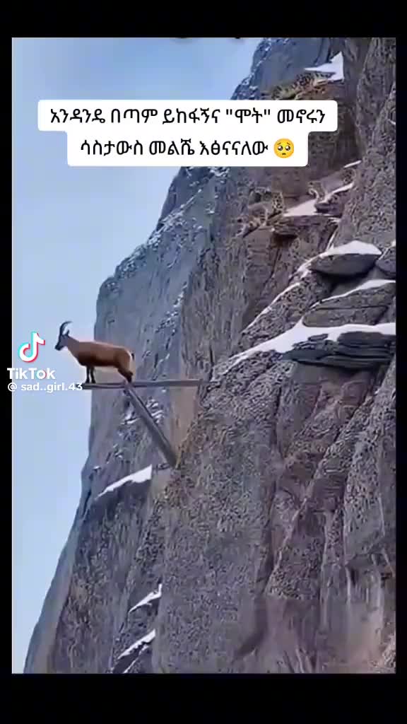 @endrisመቅደላ, ፋሚሊ