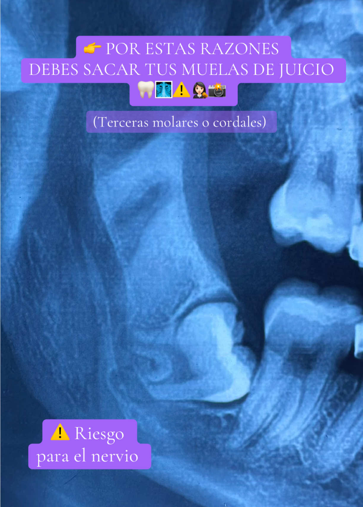 @Odontología San Marcos
