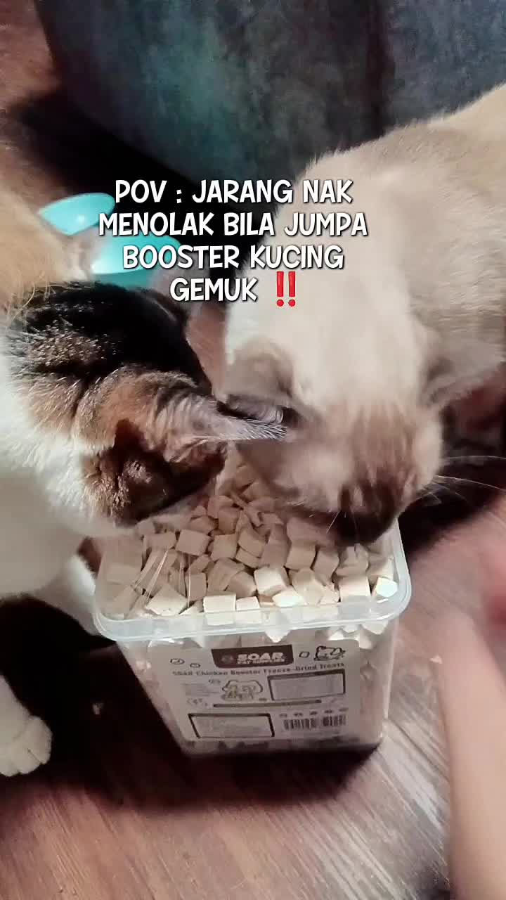 @Norazrena | Racun Tiktok