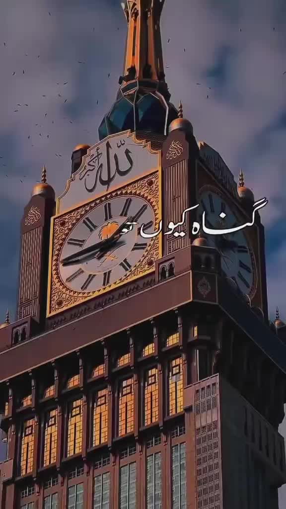 @55555555