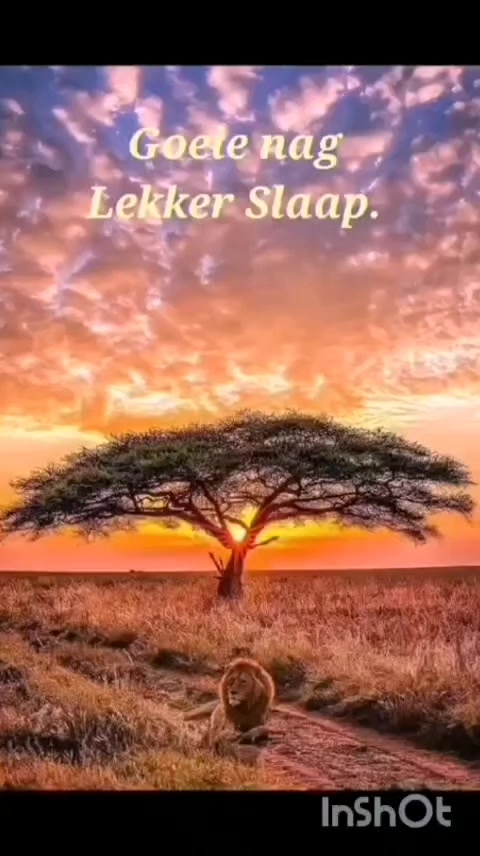 @djjvanrensburg