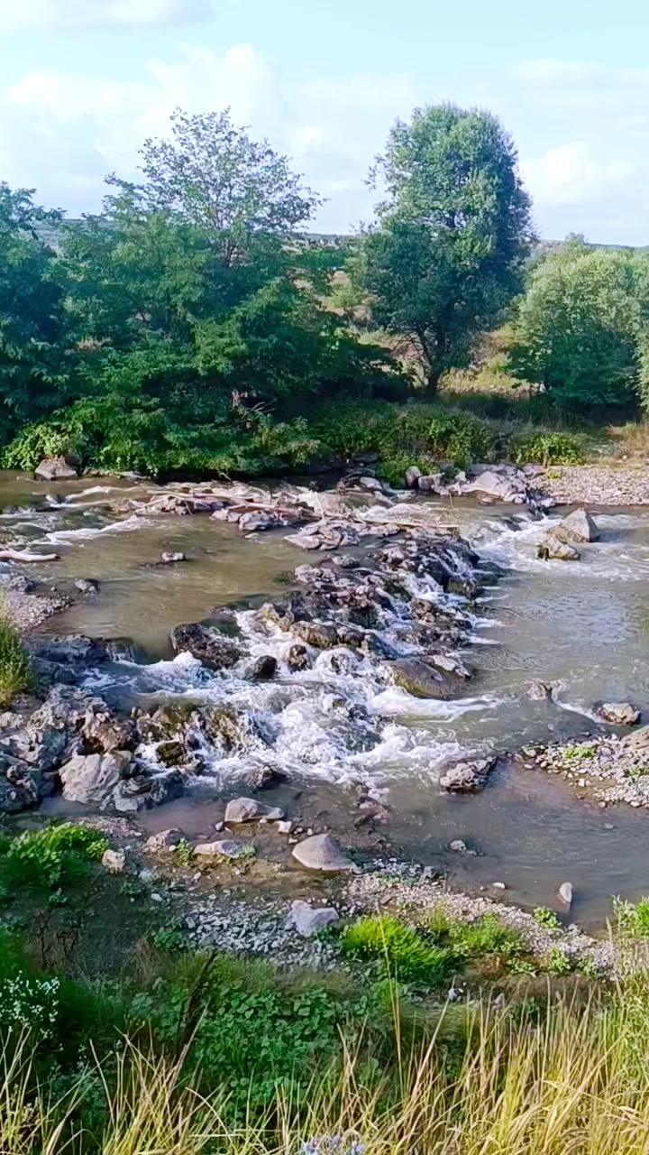 @🇬🇪TOLİK🇦🇿