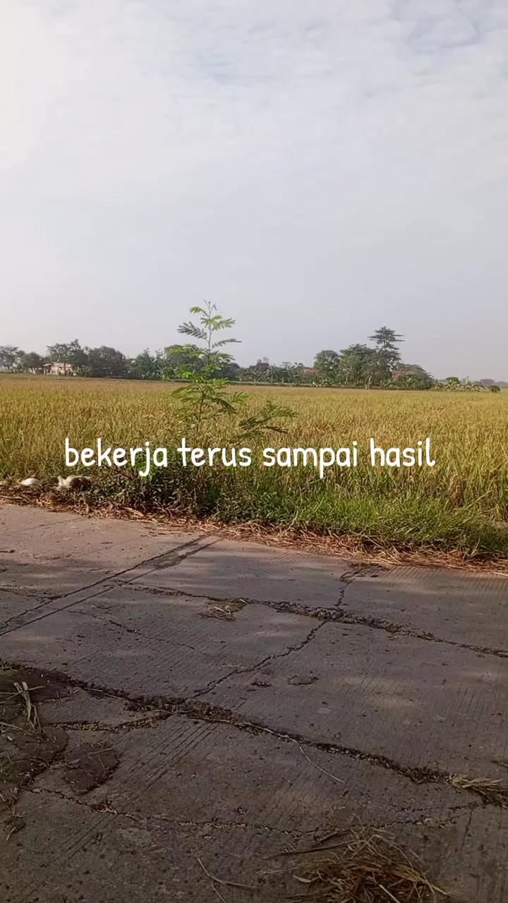 @Abd. syukur