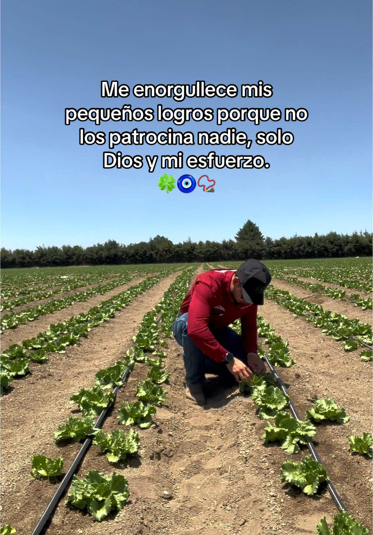 @agroboy_mx