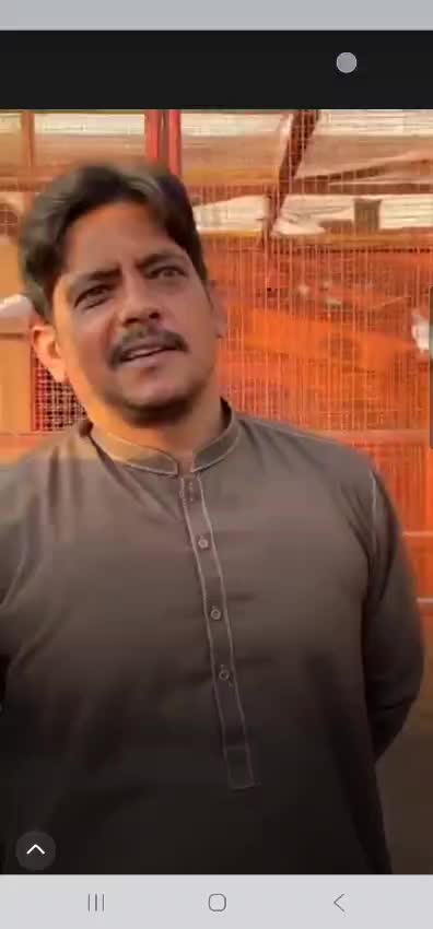 @Saif,Mughal,g