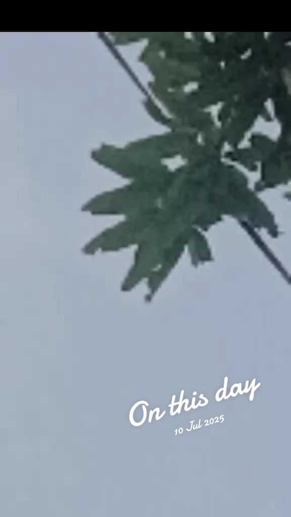 @සුද්දා