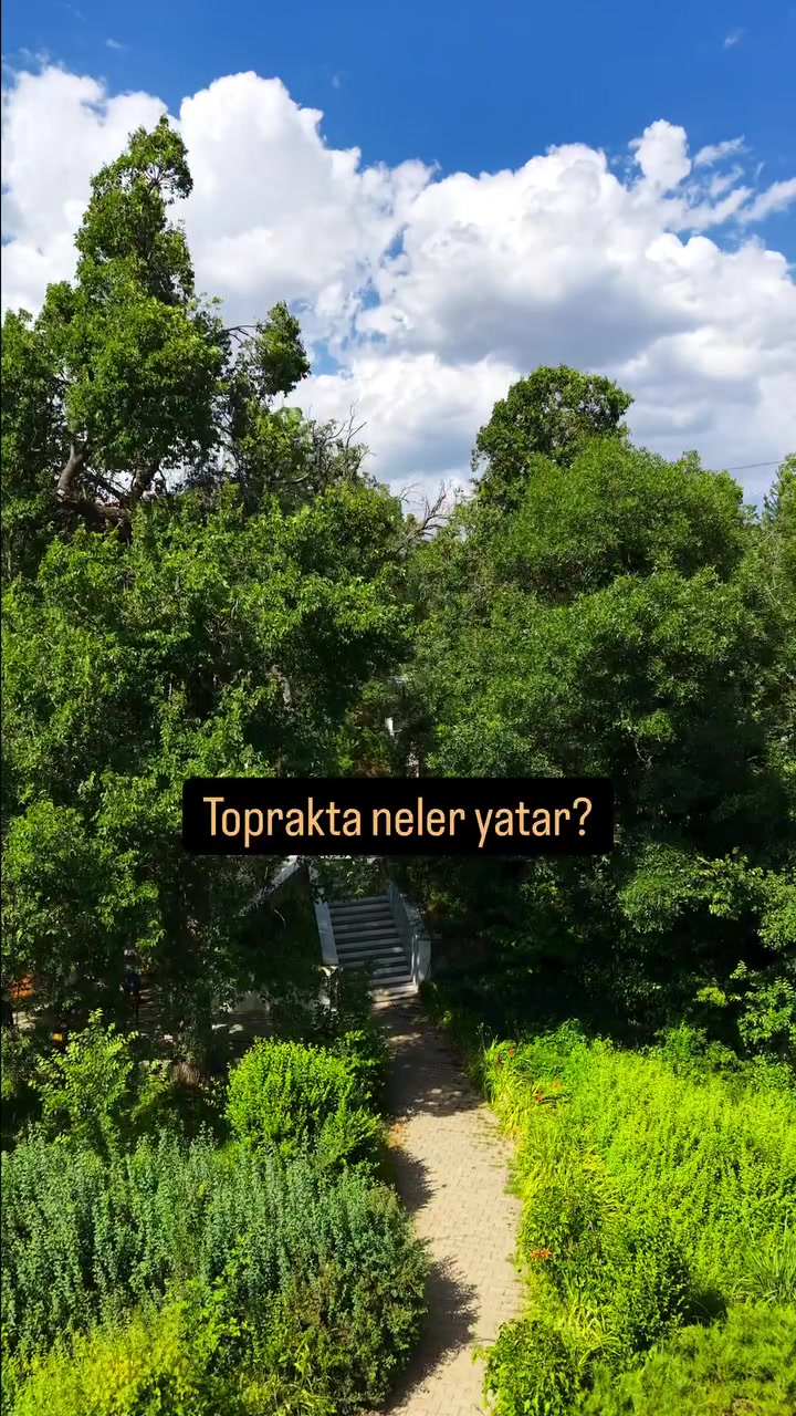 @HisseSaati