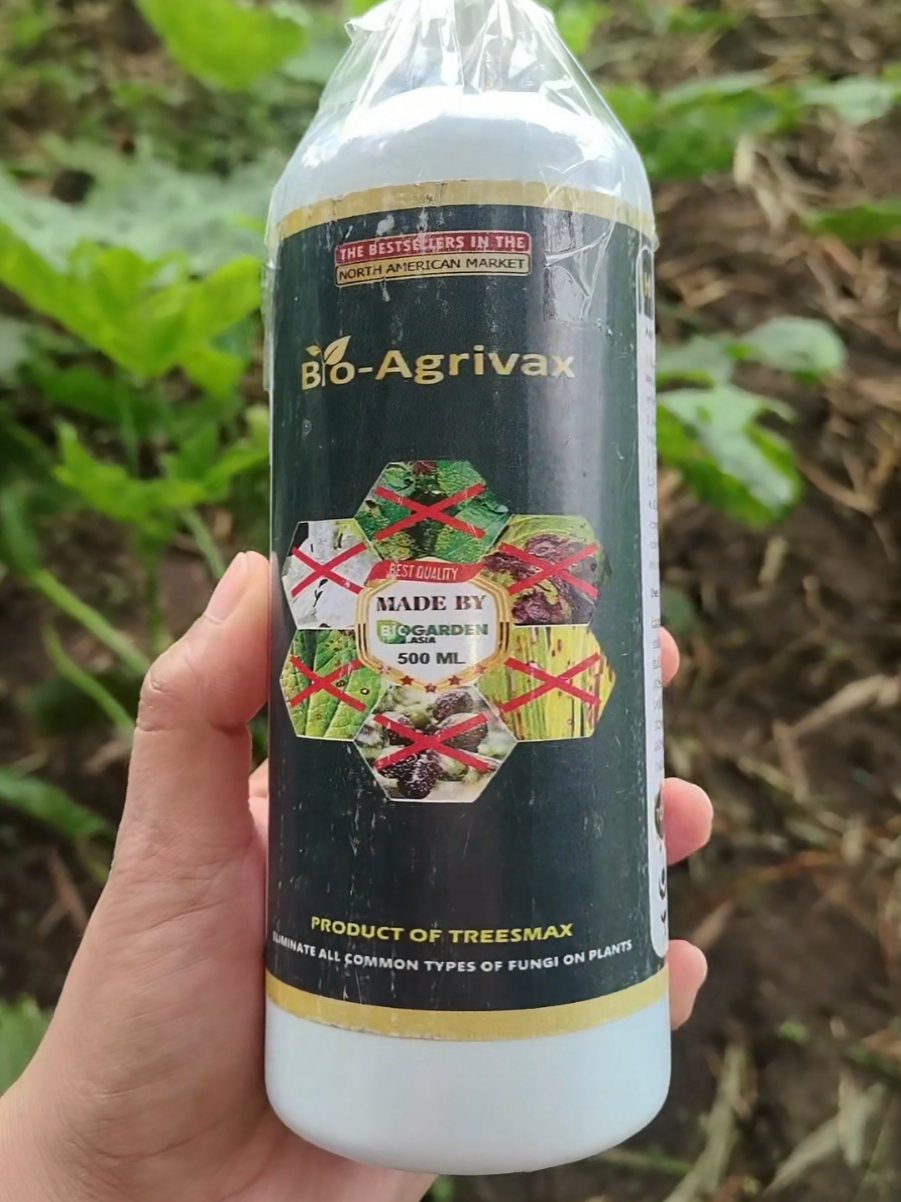 @Trend Tracker🎀✨