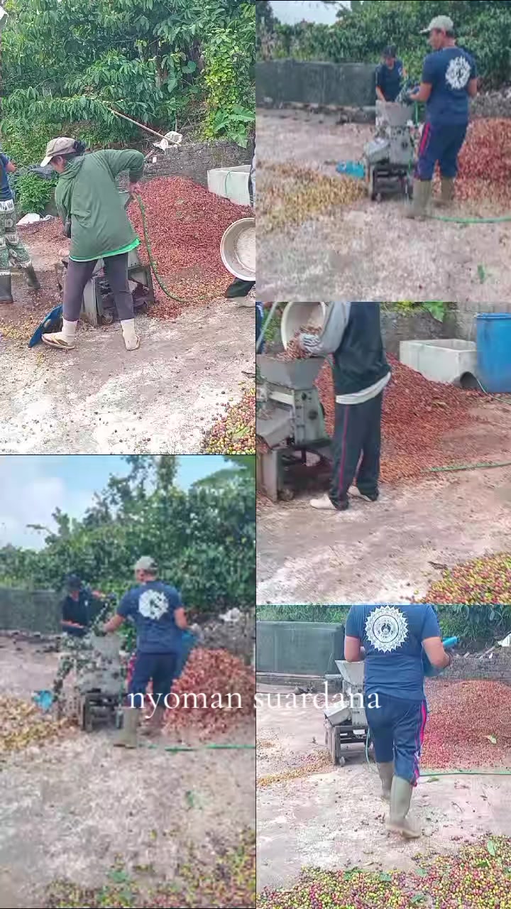 @Nyoman Suardana
