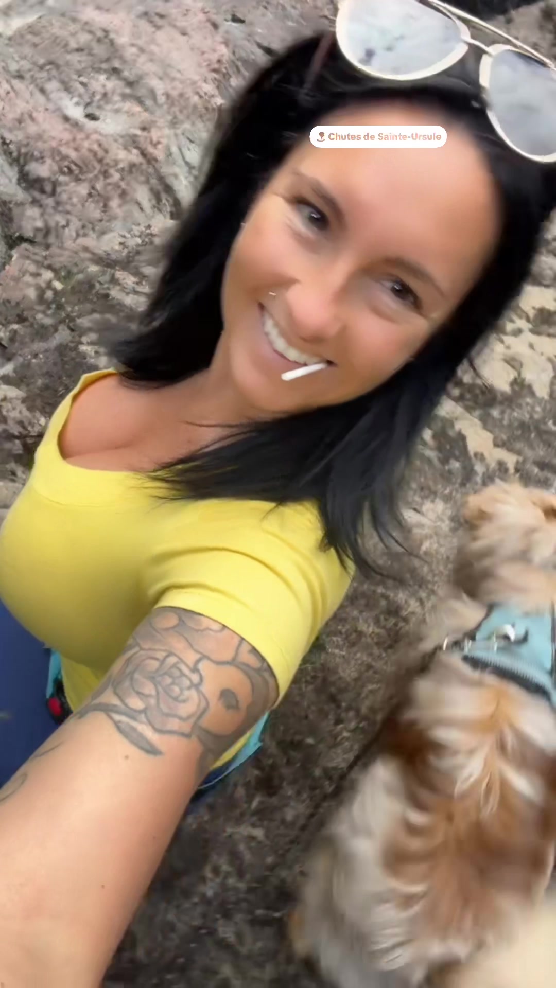 @sabelleminiwheatsss