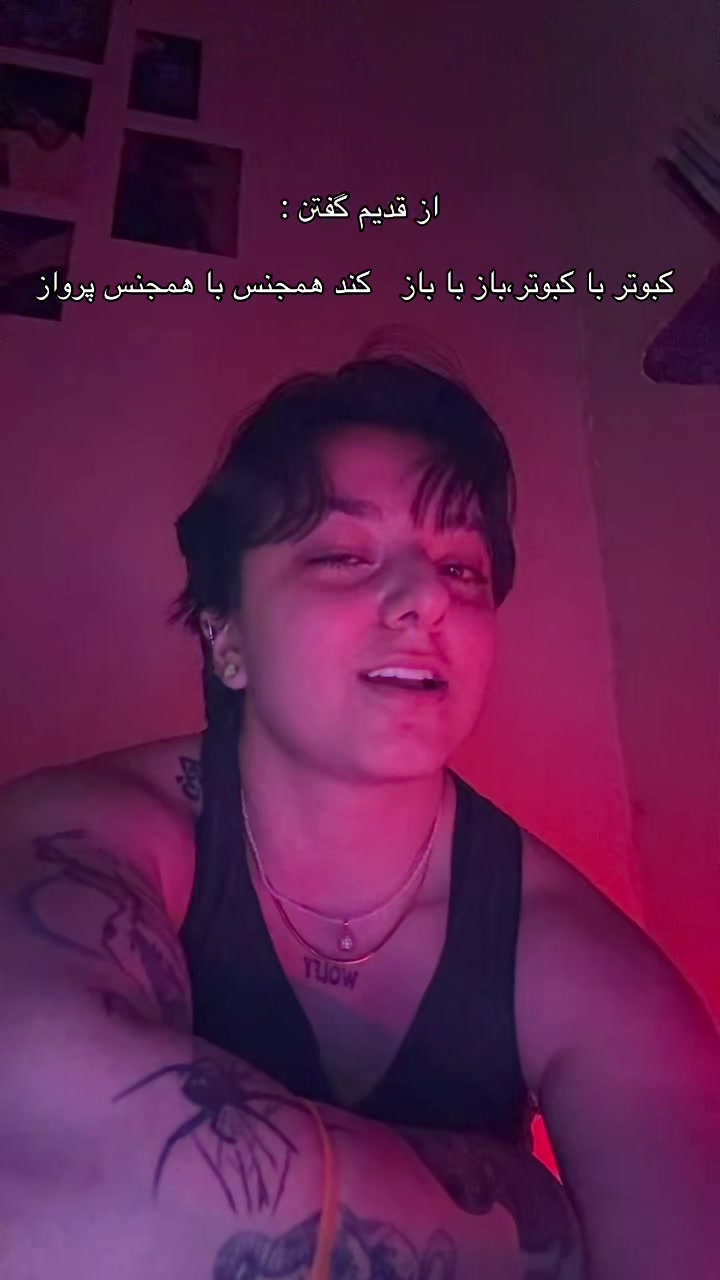 @W o l f y