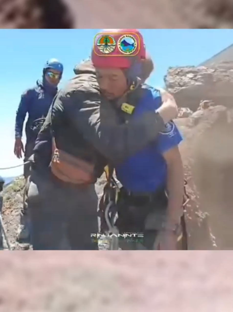 @Viuverse