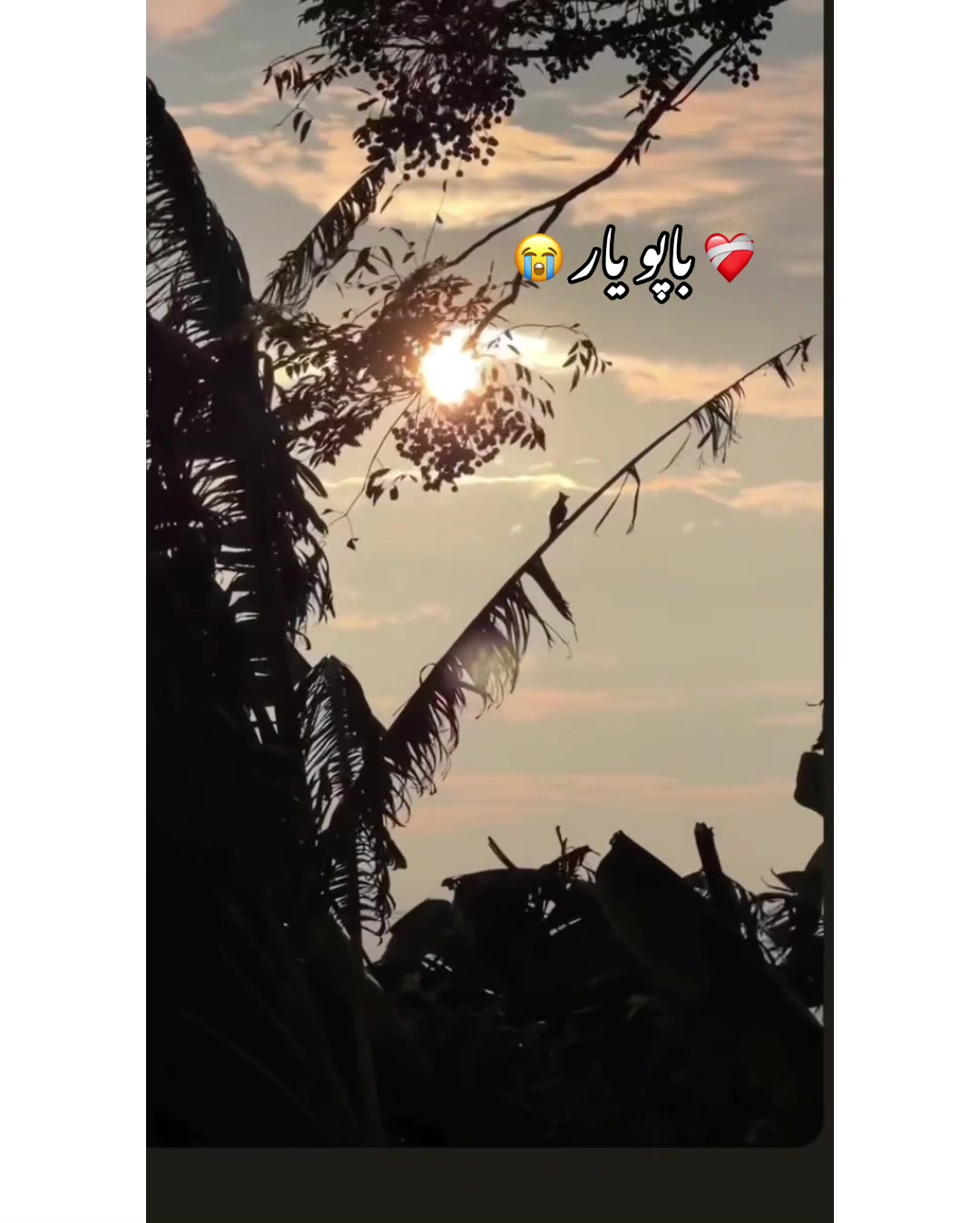 @⚜️𝐊𝐇𝐎𝐊𝐇𝐀𝐑❤️🩹