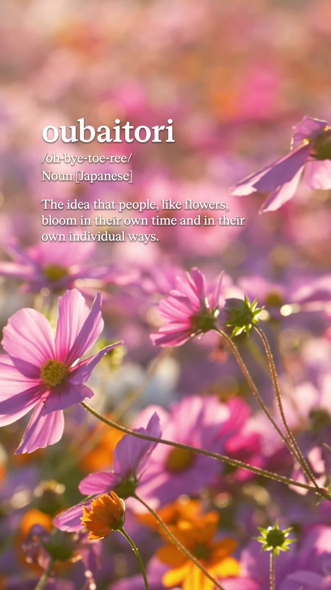 @Calm