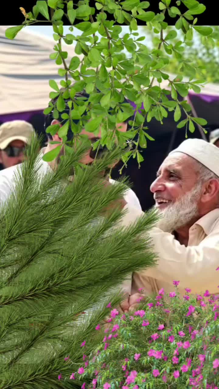 @AnpShalhand🔹