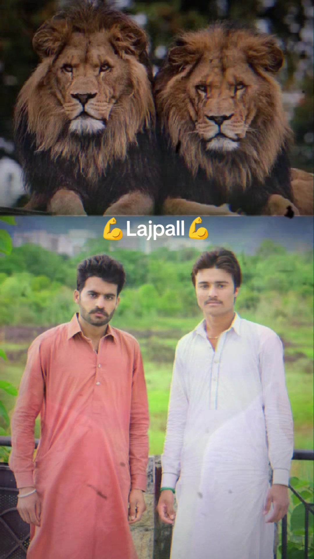 @MAHR FAYYAZ NAUL