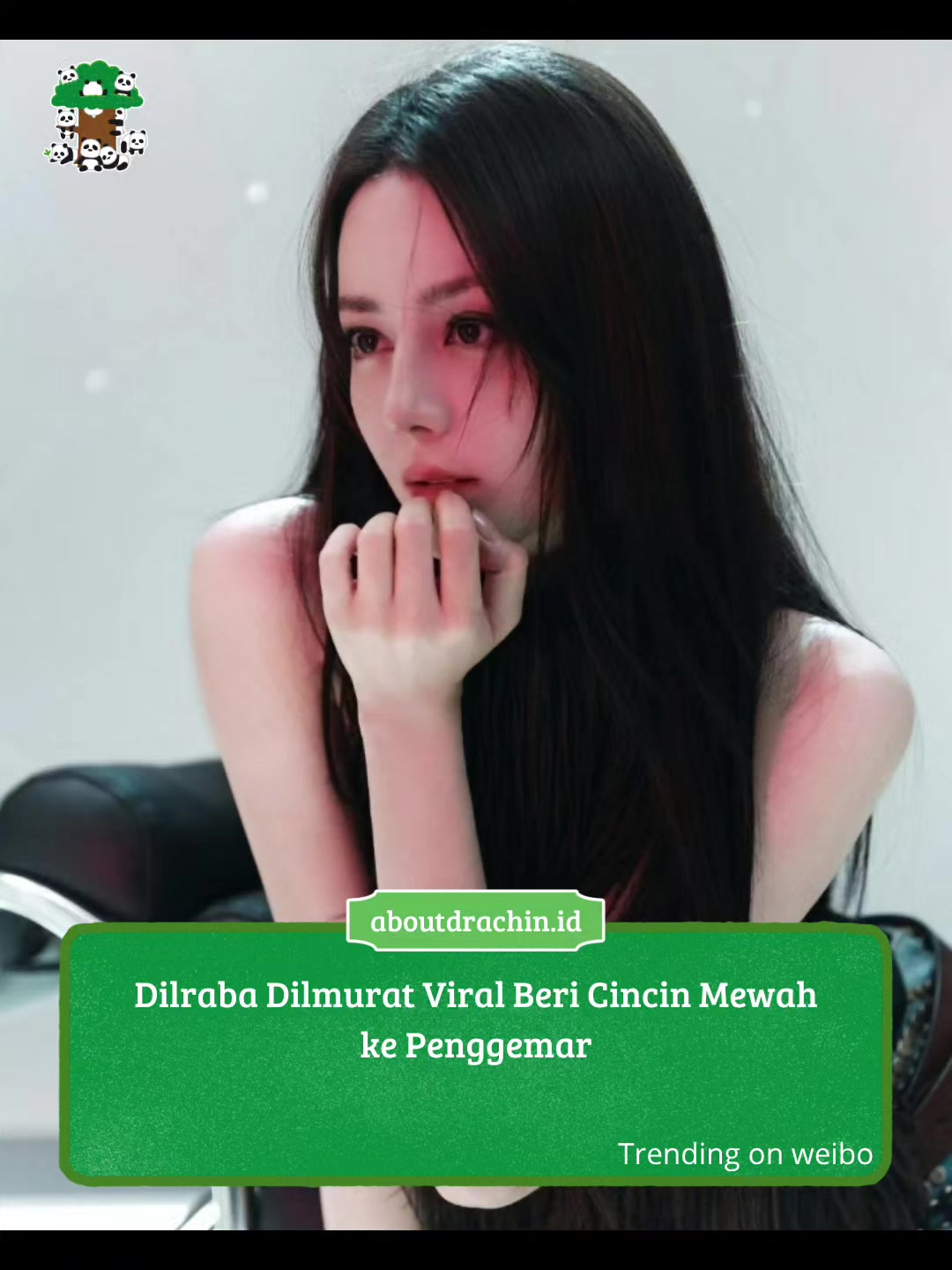 @About Drachin || Jastip