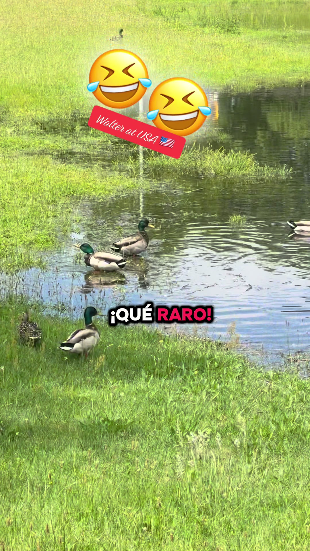 @Walter Valverde