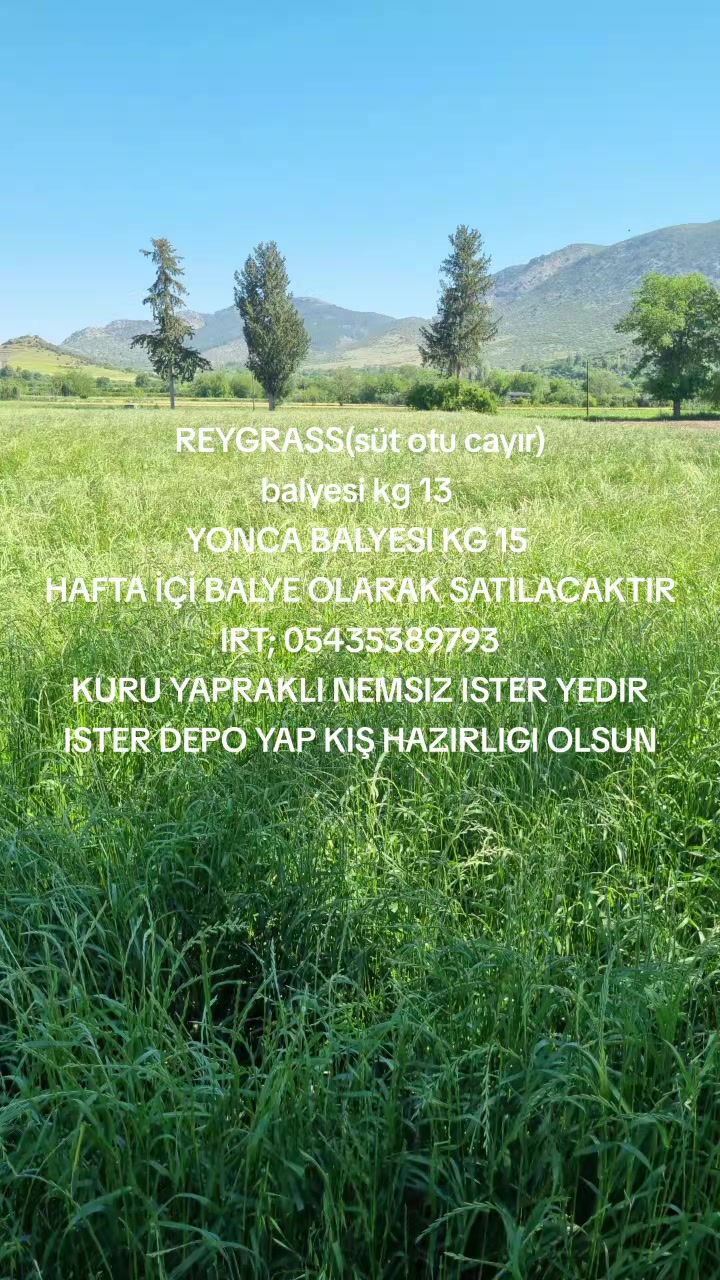 @ZİR.MÜH.BERKAN KILINÇ