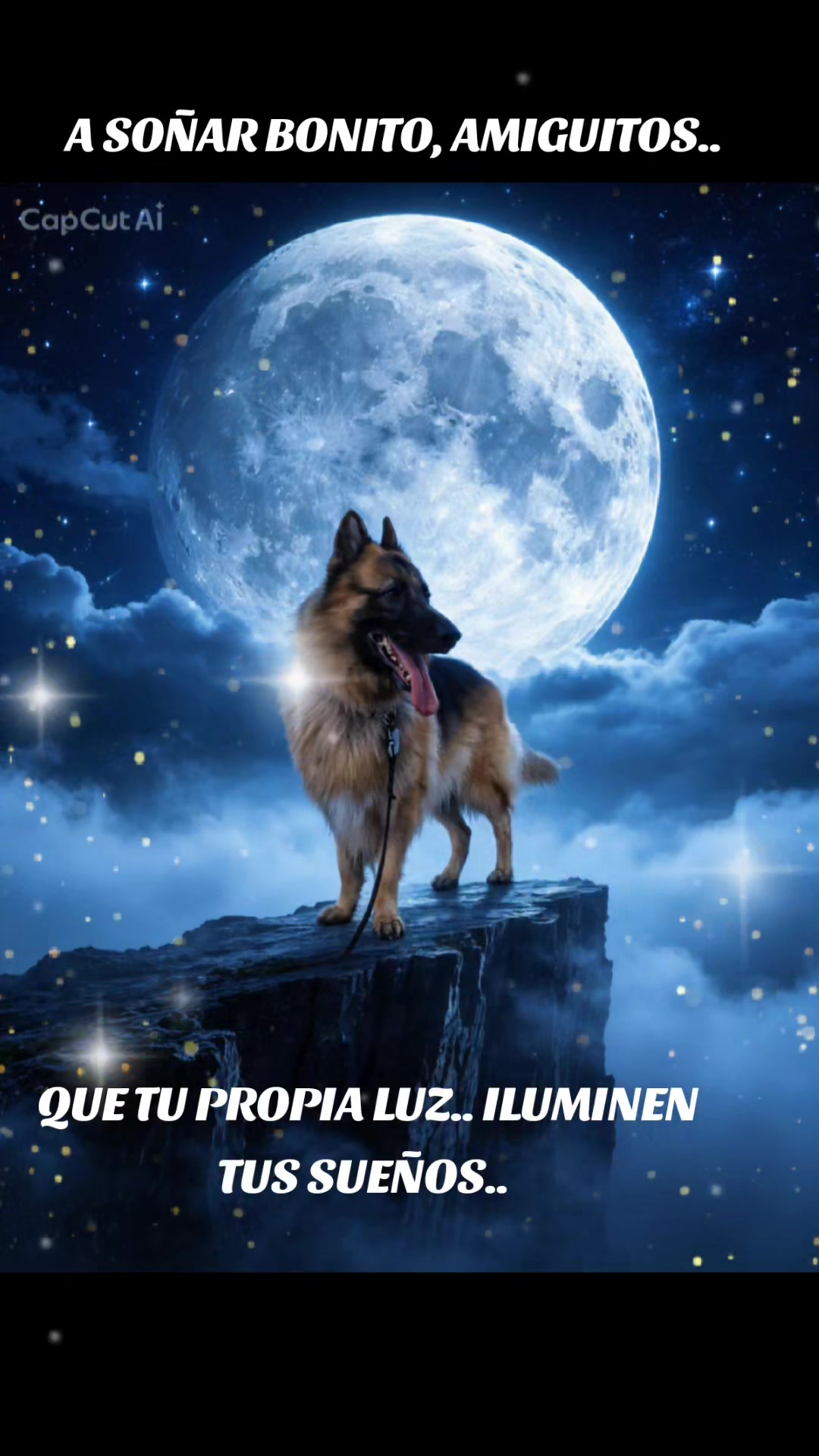 @Cachorretezeus