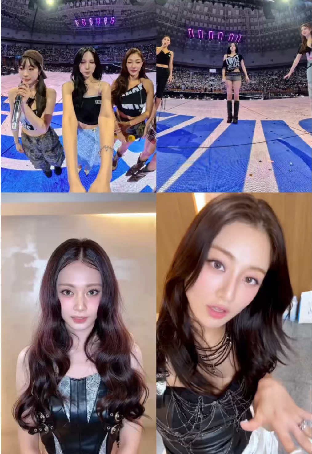 @MOMO