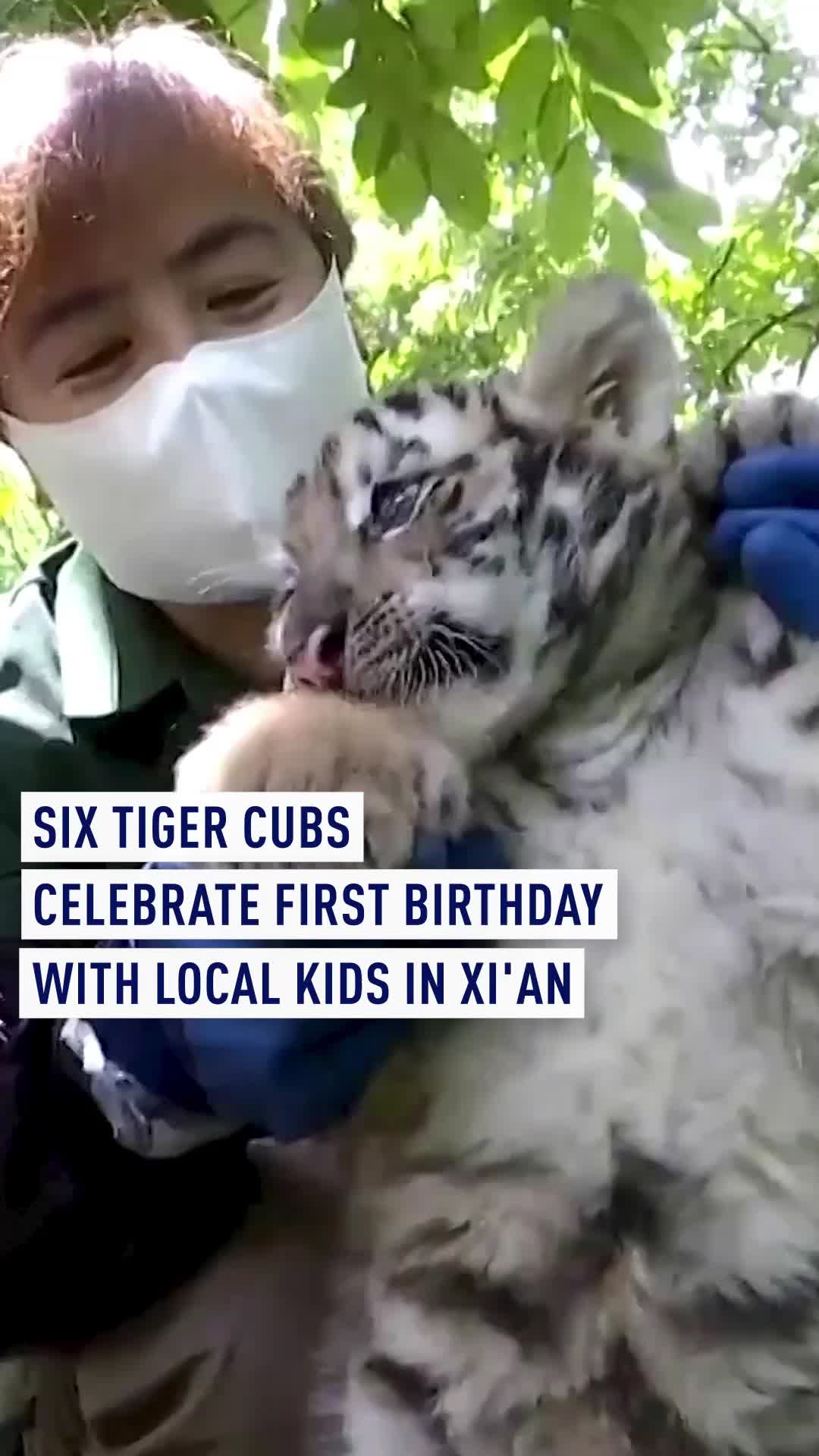 @CGTN Europe